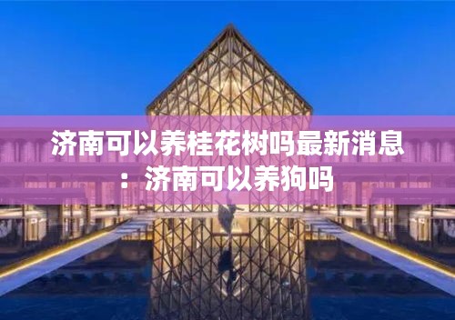 设身处地 第3页