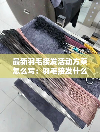 最新羽毛接发活动方案怎么写：羽毛接发什么意思 
