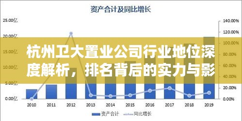 杭州卫大置业公司行业地位深度解析，排名背后的实力与影响力