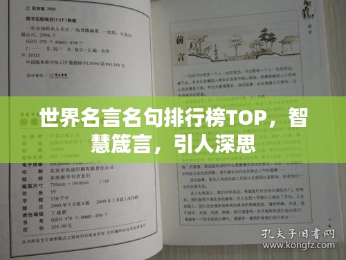 世界名言名句排行榜TOP，智慧箴言，引人深思