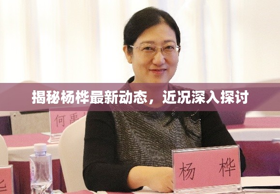 揭秘杨桦最新动态，近况深入探讨
