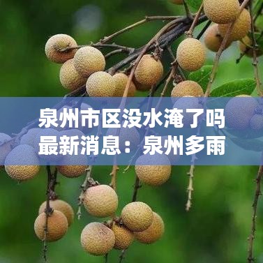 泉州市区没水淹了吗最新消息：泉州多雨吗 