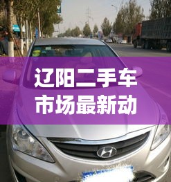 辽阳二手车市场最新动态全解析，价格表与图片一览