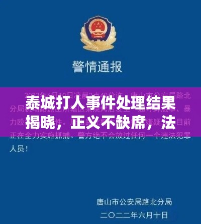 泰城打人事件处理结果揭晓，正义不缺席，法律严惩不贷！