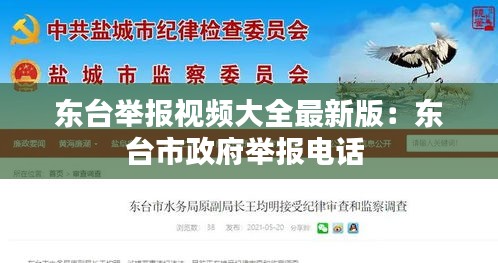 东台举报视频大全最新版：东台市政府举报电话 