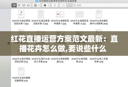 红花直播运营方案范文最新：直播花卉怎么做,要说些什么 