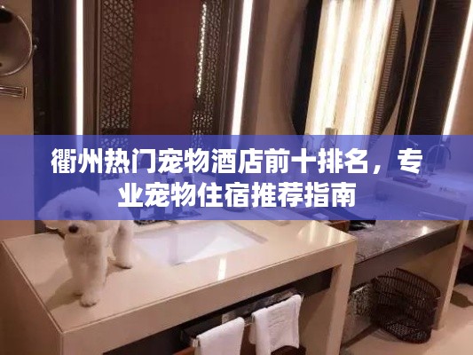 衢州热门宠物酒店前十排名，专业宠物住宿推荐指南