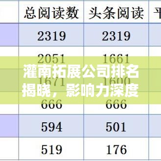 灌南拓展公司排名揭晓，影响力深度解析