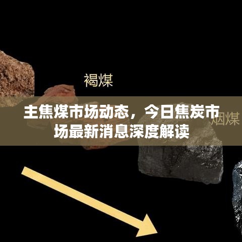 主焦煤市场动态，今日焦炭市场最新消息深度解读