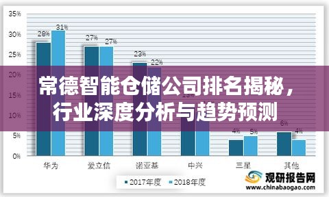 常德智能仓储公司排名揭秘，行业深度分析与趋势预测