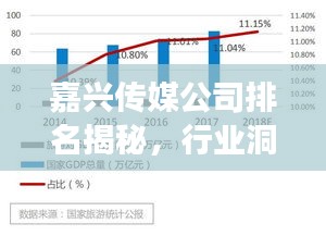 嘉兴传媒公司排名揭秘，行业洞察与深度分析