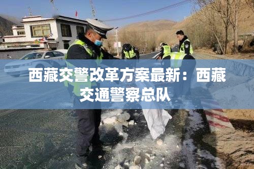 西藏交警改革方案最新：西藏交通警察总队 