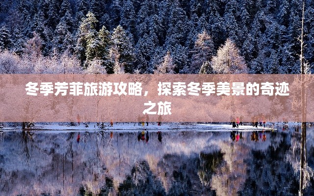 冬季芳菲旅游攻略，探索冬季美景的奇迹之旅