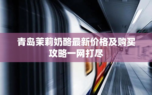 青岛茉莉奶酪最新价格及购买攻略一网打尽