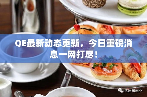 QE最新动态更新，今日重磅消息一网打尽！