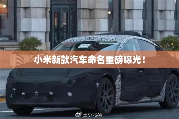 小米新款汽车命名重磅曝光！