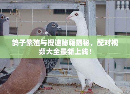朱唇粉面 第3页