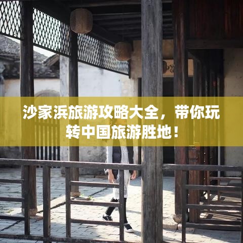 体育 第180页