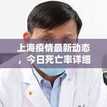 上海疫情最新动态，今日死亡率详细解析