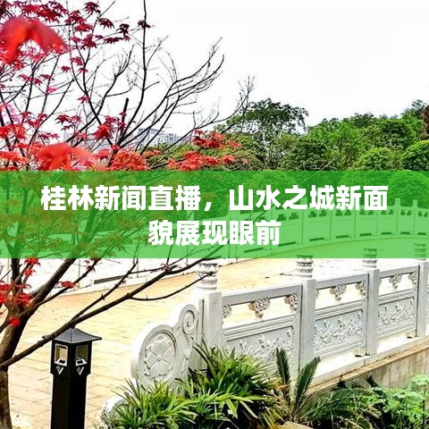 桂林新闻直播，山水之城新面貌展现眼前