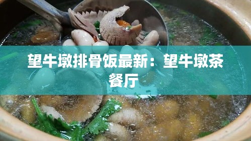 望牛墩排骨饭最新：望牛墩茶餐厅 
