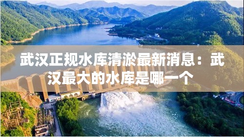 武汉正规水库清淤最新消息：武汉最大的水库是哪一个 