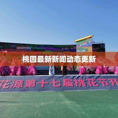 桃园最新新闻动态更新