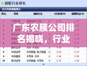 广东农膜公司排名揭晓，行业影响力不容小觑