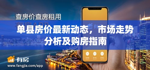 单县房价最新动态，市场走势分析及购房指南