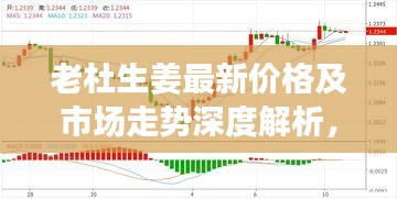 老杜生姜最新价格及市场走势深度解析，多重因素引发关注！