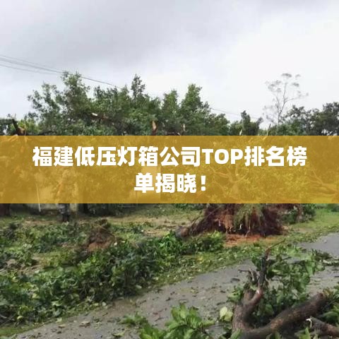 福建低压灯箱公司TOP排名榜单揭晓！