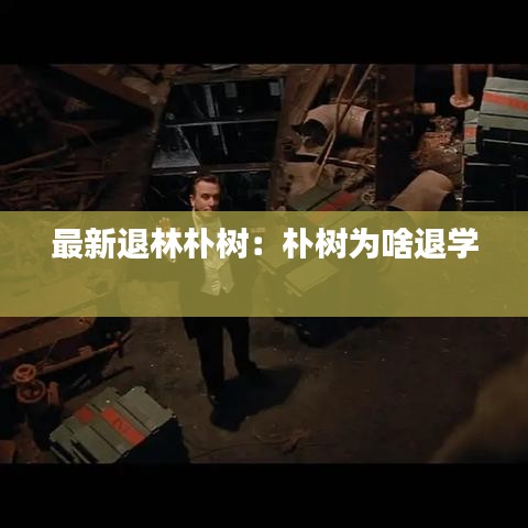 最新退林朴树：朴树为啥退学 