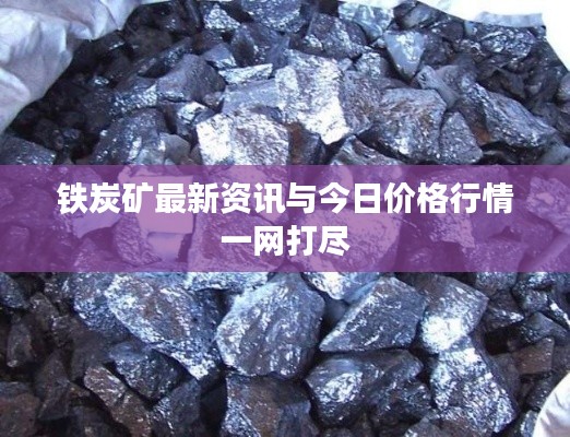 铁炭矿最新资讯与今日价格行情一网打尽