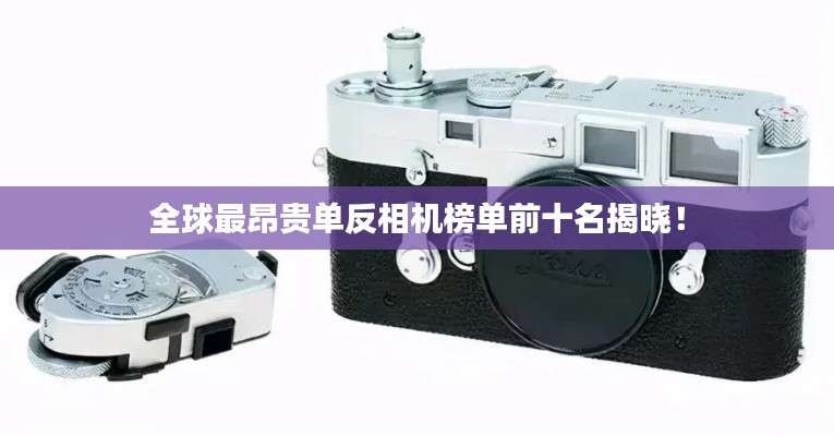 全球最昂贵单反相机榜单前十名揭晓！