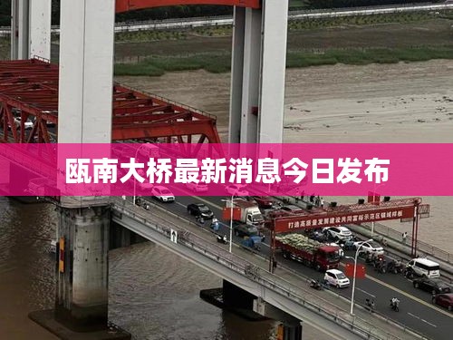 瓯南大桥最新消息今日发布