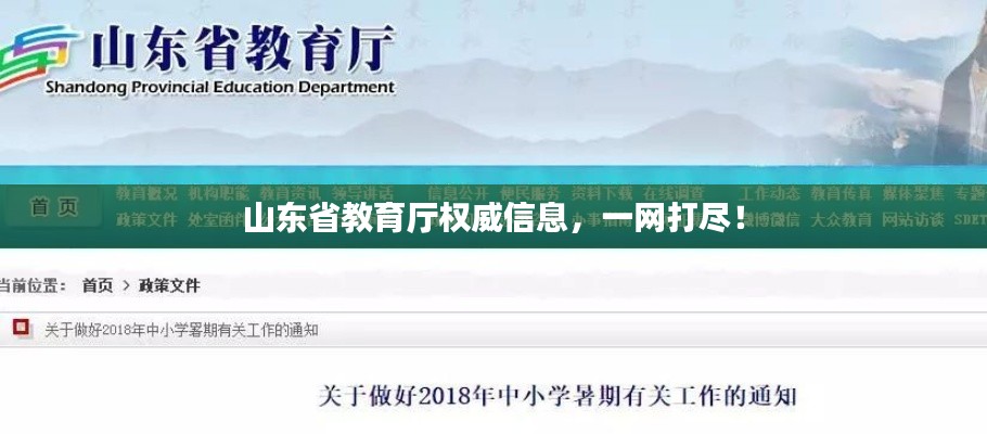 山东省教育厅权威信息，一网打尽！