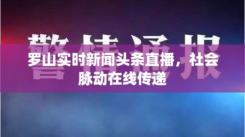 罗山实时新闻头条直播，社会脉动在线传递