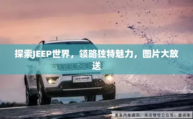 探索JEEP世界，领略独特魅力，图片大放送