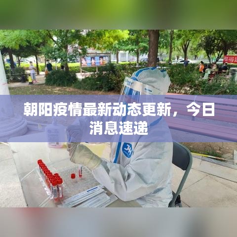 朝阳疫情最新动态更新，今日消息速递