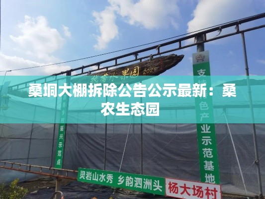 桑垌大棚拆除公告公示最新：桑农生态园 