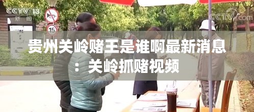 贵州关岭赌王是谁啊最新消息：关岭抓赌视频 