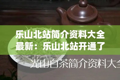 乐山北站简介资料大全最新：乐山北站开通了吗 