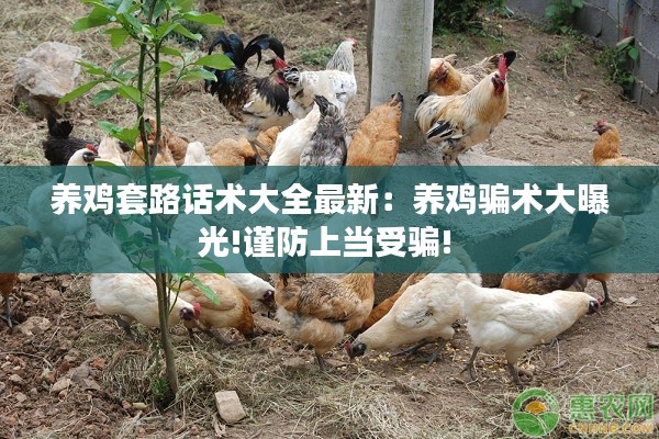 养鸡套路话术大全最新：养鸡骗术大曝光!谨防上当受骗! 