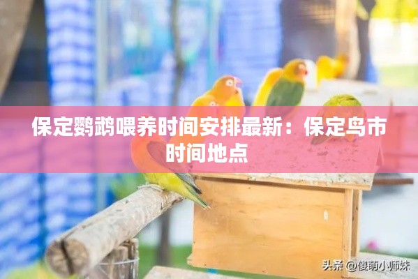 保定鹦鹉喂养时间安排最新：保定鸟市时间地点 