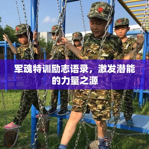 军魂特训励志语录，激发潜能的力量之源