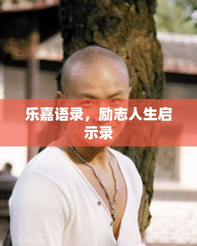 乐嘉语录，励志人生启示录