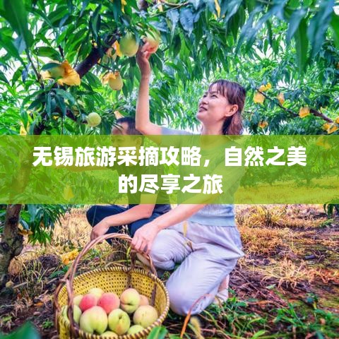 无锡旅游采摘攻略，自然之美的尽享之旅