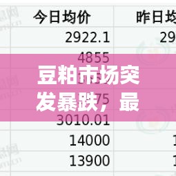 豆粕市场突发暴跌，最新消息引发热议，行情走势大解析！