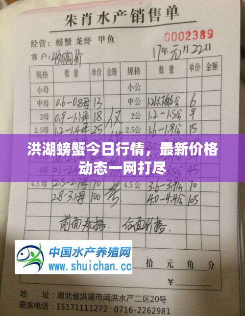 洪湖螃蟹今日行情，最新价格动态一网打尽