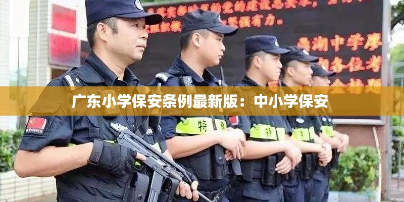 广东小学保安条例最新版：中小学保安 
